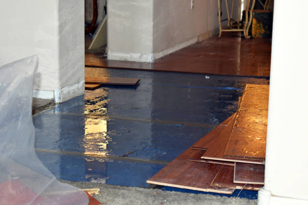 Professional Burst Pipe Cleanup technician working in Watkins, CO